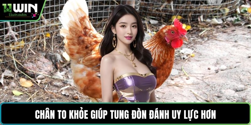 Chân to khỏe giúp tung đòn đánh uy lực hơn