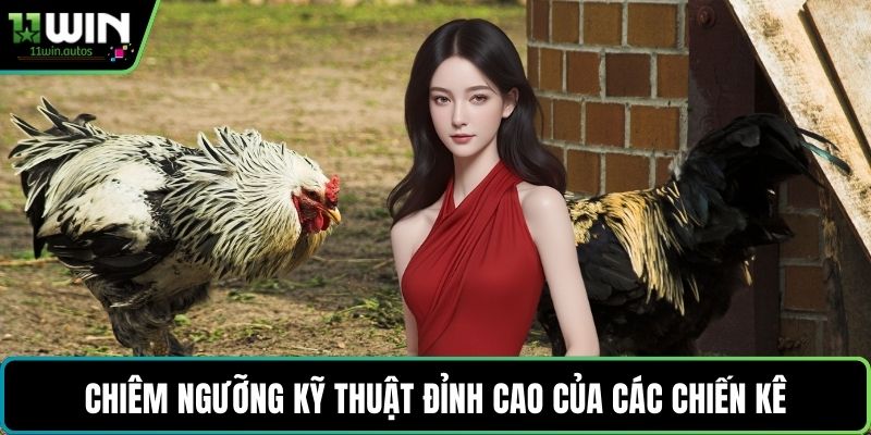 Chiêm ngưỡng kỹ thuật đỉnh cao của các chiến kê