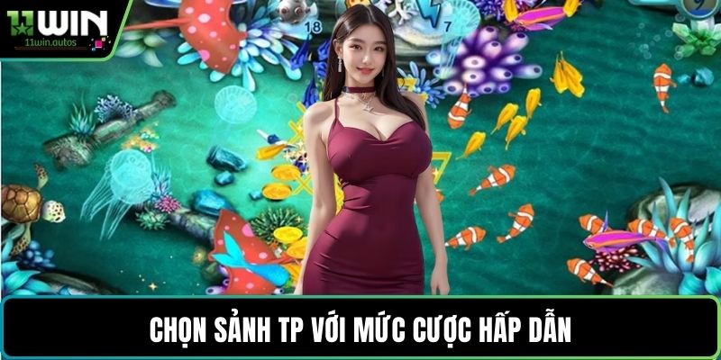 Chọn sảnh TP với mức cược hấp dẫn