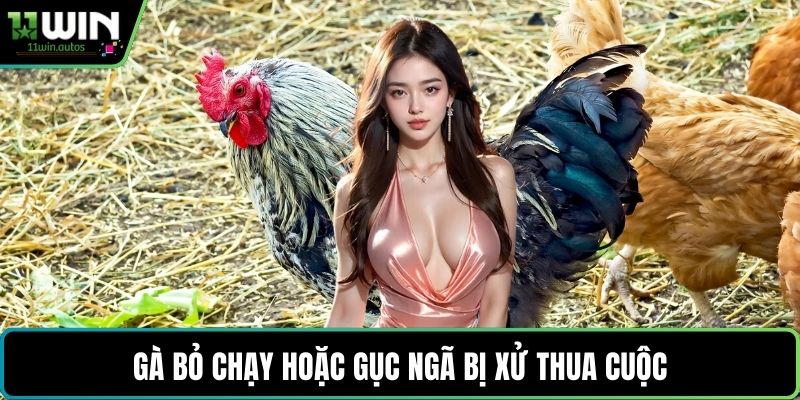 Gà bỏ chạy hoặc gục ngã bị xử thua cuộc