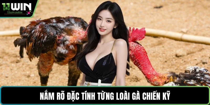 Nắm rõ đặc tính từng loài gà chiến kỹ
