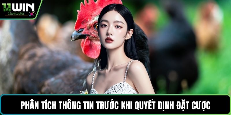 Phân tích thông tin trước khi quyết định đặt cược