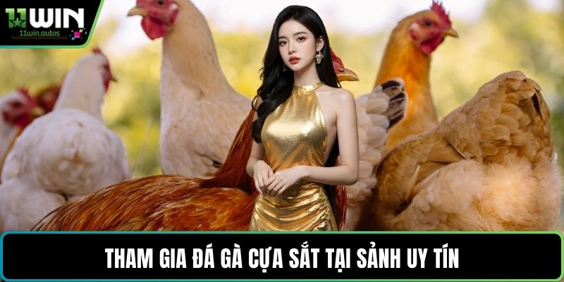 Tham gia đá gà cựa sắt tại sảnh uy tín